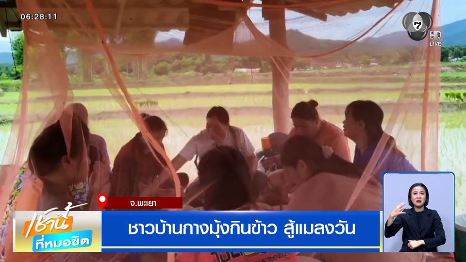 ชาวบ้านกางมุ้งกินข้าว สู้แมลงวัน