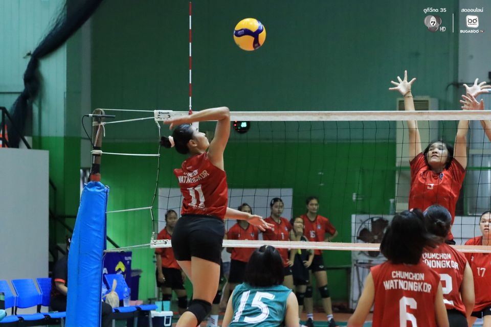 6a56174cc32d89.82924761.jpg