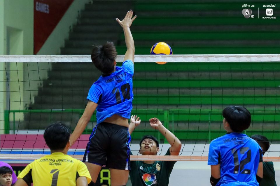 6a74395e87c669.42606638.jpg