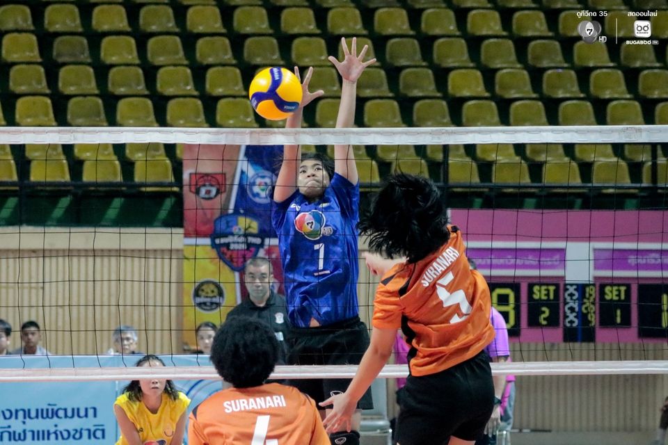 6a7ed3d4d1d898.09050879.jpg