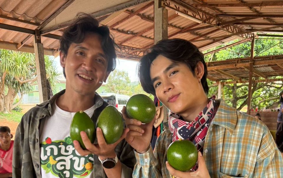“โต๋นแตร-จุกบี้” เอาใจชาว Avocado Lover พาลุยสวนอะโวคาโดปากช่อง เปิดเคล็ดลับปลูกให้ได้รสชาติ