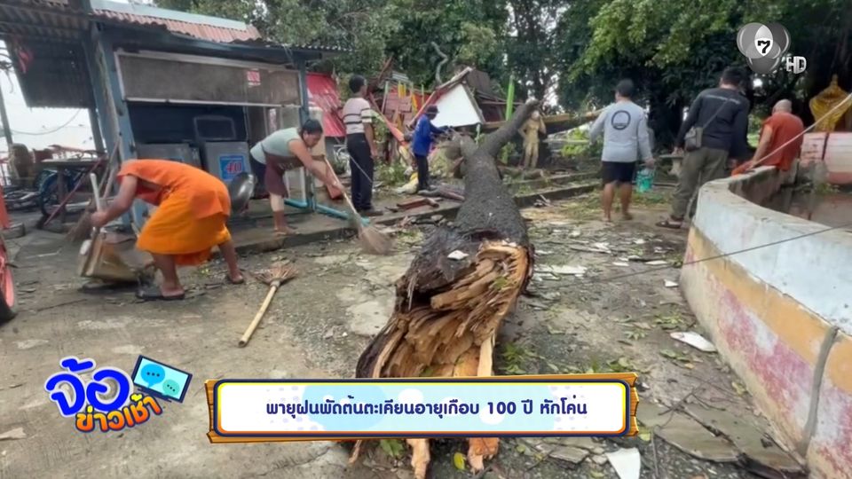 พายุฝนพัดต้นตะเคียนอายุเกือบ 100 ปี หักโค่น