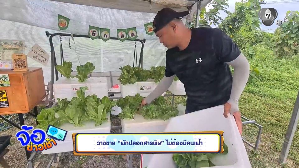 วางขาย "ผักปลอดสารพิษ" ไม่ต้องมีคนเฝ้า