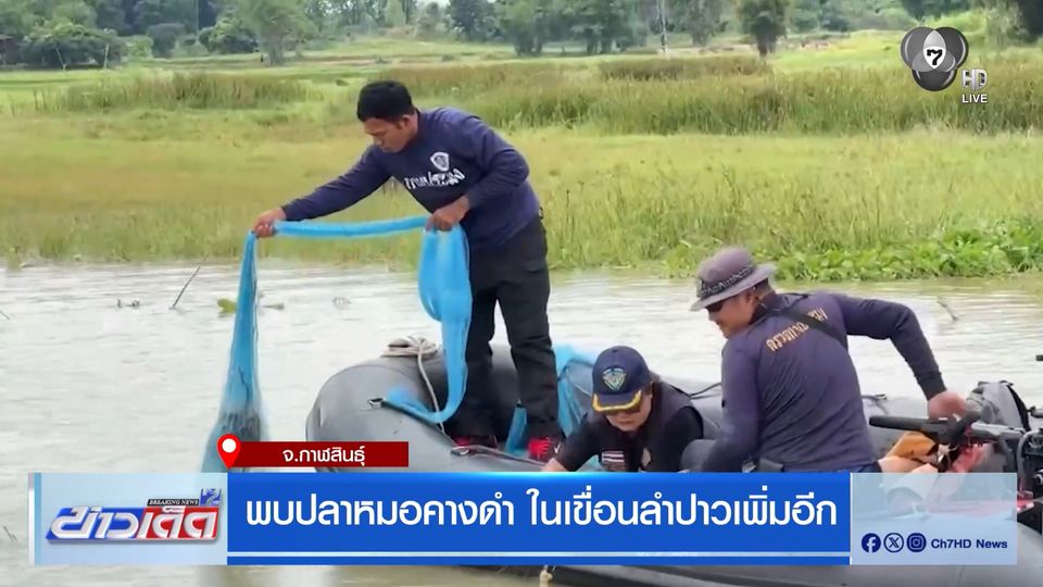 พบปลาหมอคางดำ ในเขื่อนลำปาวเพิ่มอีก