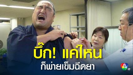 ชาวญี่ปุ่นแห่แชร์ภาพสร้างเสียงหัวเราะปนเอ็นดู  กับบรรดา ”ซูโม่” ขวัญใจ ที่ร่างกายจะบึ๊กแค่ไหน แต่ก็พ่ายเข็มฉีดยา