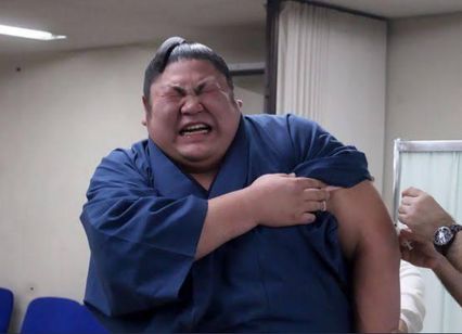 ชาวญี่ปุ่นแห่แชร์ภาพสร้างเสียงหัวเราะปนเอ็นดู  กับบรรดา ”ซูโม่” ขวัญใจ ที่ร่างกายจะบึ๊กแค่ไหน แต่ก็พ่ายเข็มฉีดยา