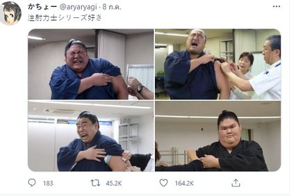 ชาวญี่ปุ่นแห่แชร์ภาพสร้างเสียงหัวเราะปนเอ็นดู  กับบรรดา ”ซูโม่” ขวัญใจ ที่ร่างกายจะบึ๊กแค่ไหน แต่ก็พ่ายเข็มฉีดยา