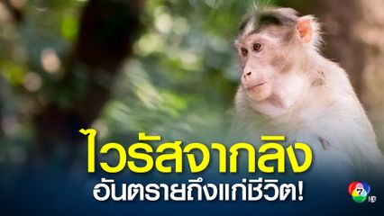 สัตวแพทย์จีนวัย 53 ปี ติดเชื้อไวรัสจากลิง สายพันธุ์บี ดับ! หลังผ่าซากลิงที่ติดเชื้อ