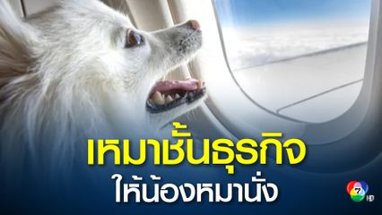 เศรษฐีอินเดีย ลงทุนจ่ายตั๋วเครื่องบินเหมาที่นั่งชั้นธุรกิจให้น้องหมา