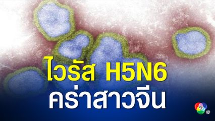 หญิงชาวจีนเสียชีวิต พบติดเชื้อไข้หวัดนกสายพันธุ์ H5N6