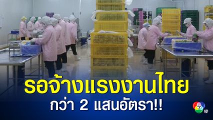 ก.แรงงาน เตรียมตำแหน่งงานกว่า 2 แสนอัตรารองรับแรงงานไทยที่กำลังหางานทำ