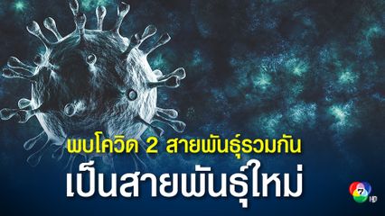 นักวิทยาศาสตร์ พบโควิดกลายพันธุ์ ที่เกิดจากการรวมตัวของ 2 สายพันธุ์