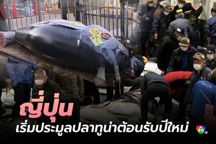ญี่ปุ่น เริ่มต้นประมูลปลาทูน่าประจำปีอย่างเป็นทางการ