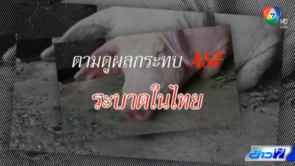 คอลัมน์หมายเลข 7 : ตามดูผลกระทบ ASF ในสุกร ระบาดในไทย