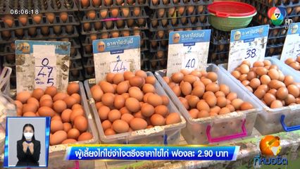 ผู้เลี้ยงไก่ไข่จำใจตรึงราคาไข่ไก่ ฟองละ 2.90 บาท