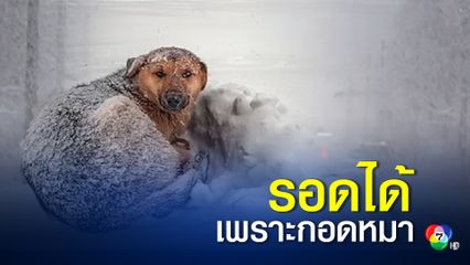 เด็กหญิงชาวรัสเซีย รอดชีวิตด้วยการนอนกอดหมา หลังเกิดหิมะตกลงมาอย่างหนัก