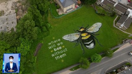 ภาพจิตรกรรมผึ้งยักษ์ เนื่องในวันผึ้งโลก