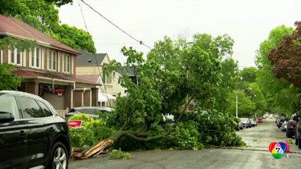 พายุพัดถล่มแคนาดา ตาย 8