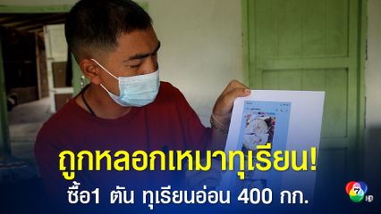 หนุ่มร้องถูกหลอกขายทุเรียนอ่อน เหมาไปขาย 1 ตัน เป็นทุเรียนอ่อนถึง 400 กก.