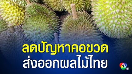 รัฐบาล ชูความร่วมมือไทย-จีน ลดปัญหาคอขวดส่งออกผลไม้หน้าด่าน