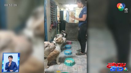 ภาพเป็นข่าว : ฝึกสุนัขให้รู้จักระเบียบวินัย ยามกินก็ต้องพร้อมเพรียง