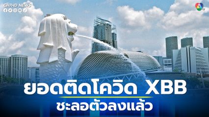 สิงคโปร์แจงยอดติดโอมิครอน XBB ชะลอตัวแล้ว  