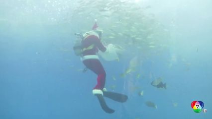 ซานตาคลอสดำน้ำให้อาหารปลาที่ญี่ปุ่น