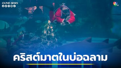 บ่อฉลามก็ต้องมี ! ซานตาคลอสฮังการีดำน้ำตกแต่งต้นคริสต์มาส