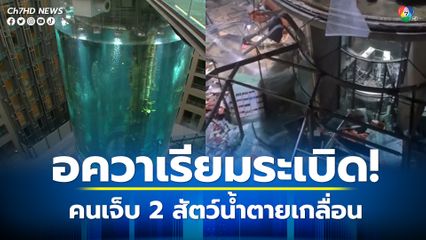 อควาเรียมระเบิด คนเจ็บ 2 สัตว์น้ำตายเกลื่อน