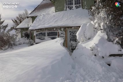 พายุหิมะถล่ม หิมะปกคลุมสูง ทุ่งหญ้ากลายเป็นน้ำแข็ง