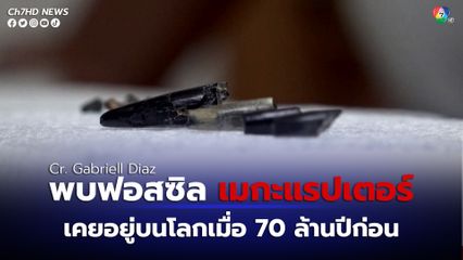 ขุดพบฟอสซิล “เมกะแรปเตอร์” ในชิลี เคยอยู่บนโลกเมื่อ 70 ล้านปีก่อน