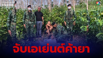 ทหาร ตำรวจ บุกรวบเอเย่นต์ค้ายาบ้าซุกในป่าสวนยางพารา