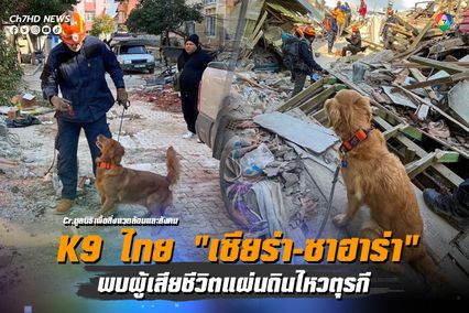 K9 ประเทศไทย "เซียร่า-ซาฮาร่า"  พบร่างผู้เสียชีวิตแผ่นดินไหวตุรกี-ซีเรีย