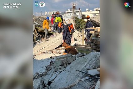 K9 ประเทศไทย "เซียร่า-ซาฮาร่า"  พบร่างผู้เสียชีวิตแผ่นดินไหวตุรกี-ซีเรีย