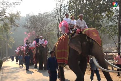 สุดโรแมนติก! ช้างไทยร่วมเป็นสักขีพยานรัก หนุ่มสาว 10 คู่ จดทะเบียนสมรส บอกรักกันบนหลังช้าง ในวันวาเลนไทน์  ที่ศูนย์อนุรักษ์ช้างไทย จ.ลำปาง