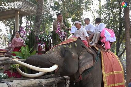 สุดโรแมนติก! ช้างไทยร่วมเป็นสักขีพยานรัก หนุ่มสาว 10 คู่ จดทะเบียนสมรส บอกรักกันบนหลังช้าง ในวันวาเลนไทน์  ที่ศูนย์อนุรักษ์ช้างไทย จ.ลำปาง