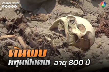 ค้นพบหลุมฝังศพจำนวน 30 หลุม อายุ 800 ปี ของชาวชานเคย์ ซึ่งอาศัยอยู่ในเปรู