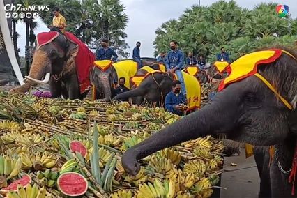 ฮ้องขวัญช้าง สวนนงนุชจัดพิธีทำขวัญ-เลี้ยงโต๊ะจีนช้าง เนื่องในวันช้างไทย