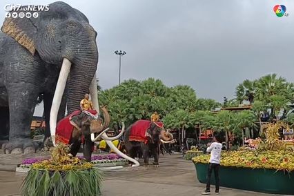 ฮ้องขวัญช้าง สวนนงนุชจัดพิธีทำขวัญ-เลี้ยงโต๊ะจีนช้าง เนื่องในวันช้างไทย