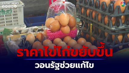 ราคาไข่ไก่ขยับขึ้น ชาวบ้านวอนรัฐบาลช่วยแก้ไข