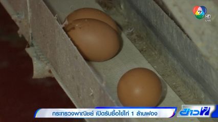 กระทรวงพาณิชย์ เปิดรับซื้อไข่ไก่ 1 ล้านฟอง