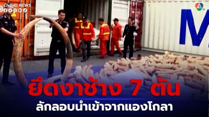 เวียดนามยึดงาช้าง 7 ตัน ที่ถูกลักลอบนำเข้าจากแองโกลา