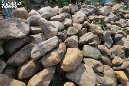 ในวิกฤตแล้งจัด น้ำโขงแห้งขอด แต่ชาวบ้าน จ.เลย กลับได้โอกาสเก็บ”หินเบี้ย” “หินกาบ”ขายสร้างรายได้เลี้ยงครอบครัว
