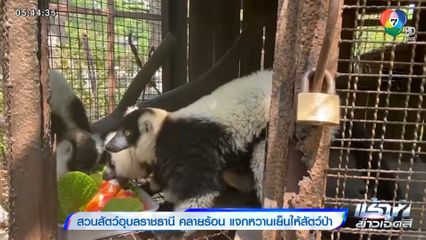 สวนสัตว์อุบลราชธานี คลายร้อน แจกหวานเย็นให้สัตว์ป่า