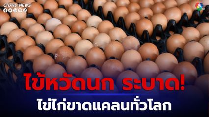 ไข่หวัดนกระบาดทำไข่ไก่ขาดแคลนทั่วโลก 