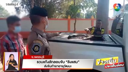 รวบแก๊งลักลอบจับ ลิงแสม ส่งจีนทำยาอายุวัฒนะ จ.เพชรบุรี