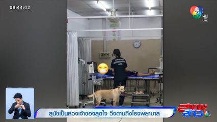 ภาพเป็นข่าว : สุนัขเป็นห่วงเจ้าของสุดใจ วิ่งตามถึงโรงพยาบาล