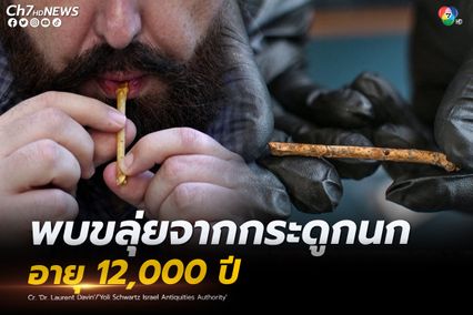 พบขลุ่ยขนาดเล็กที่ทำมาจากกระดูกนกในอิสราเอล อายุถึง 12,000 ปี