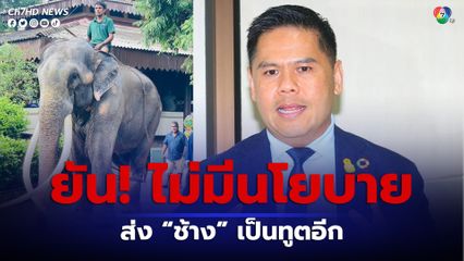 วราวุธ ลั่น! นับจากนี้ไปรัฐบาลไทยจะไม่มีนโยบายส่งช้างไปเป็นทูตสันถวไมตรีเพื่อในกิจการใดอีก