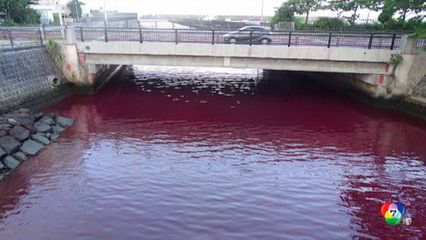 น้ำบริเวณท่าเรือญี่ปุ่นกลายเป็นสีแดงฉาน หลังสารเคมีจากโรงงานเบียร์รั่วไหล